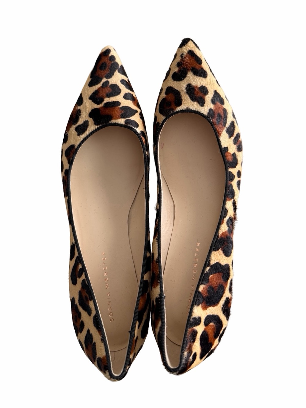 Sophia Webster Leopard-Print Pointed Toe Flats in Brown and Black